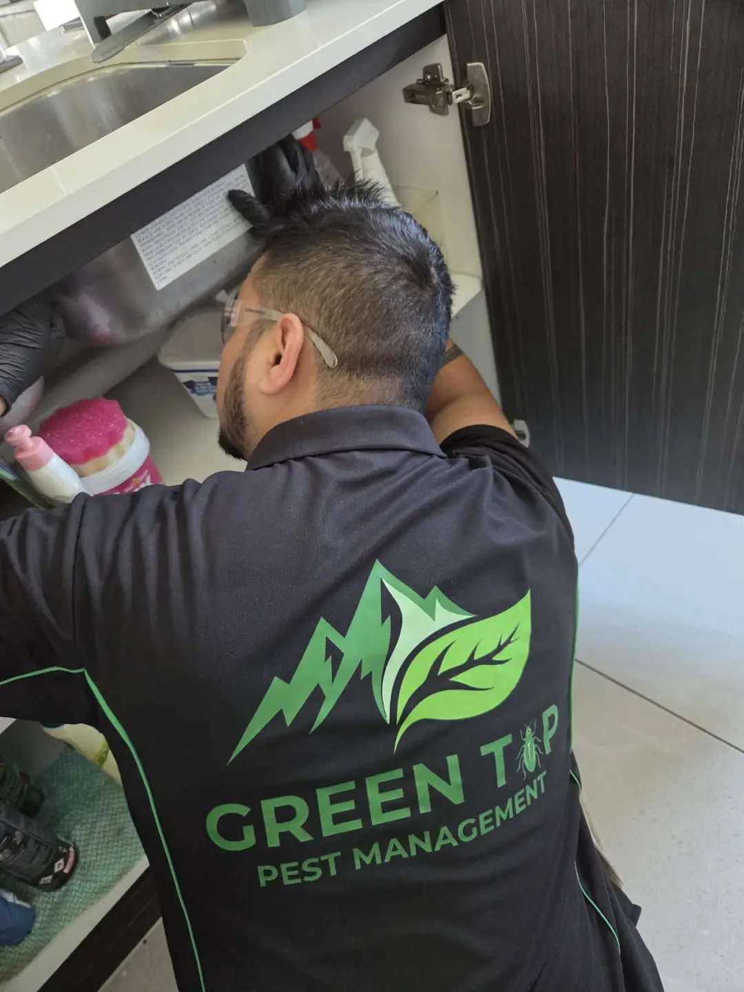 Prajj inspecting the cupboard under a kitchen sink